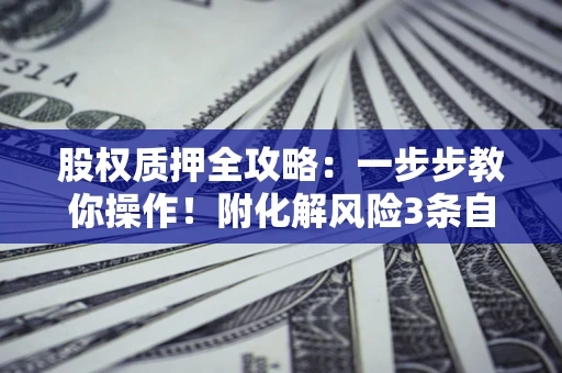 济南股权质押全攻略：一步步教你操作！附化解风险3条自救法则
