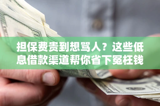 济南担保费贵到想骂人？这些低息借款渠道帮你省下冤枉钱