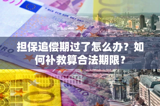 济南担保追偿期过了怎么办？如何补救算合法期限？