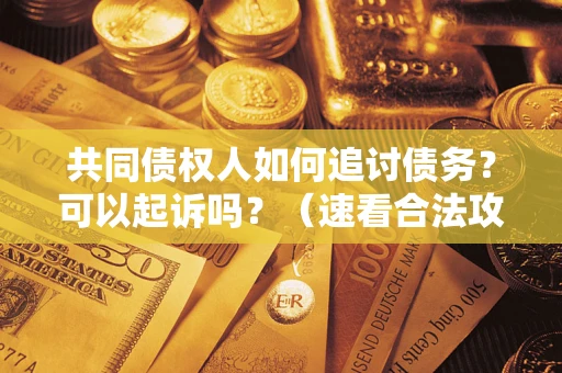 济南共同债权人如何追讨债务？可以起诉吗？（速看合法攻略）